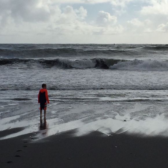 Meet your Posher, Luke - Picture 1 of 1